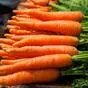 морковь оптом в Оренбурге и Оренбургской области